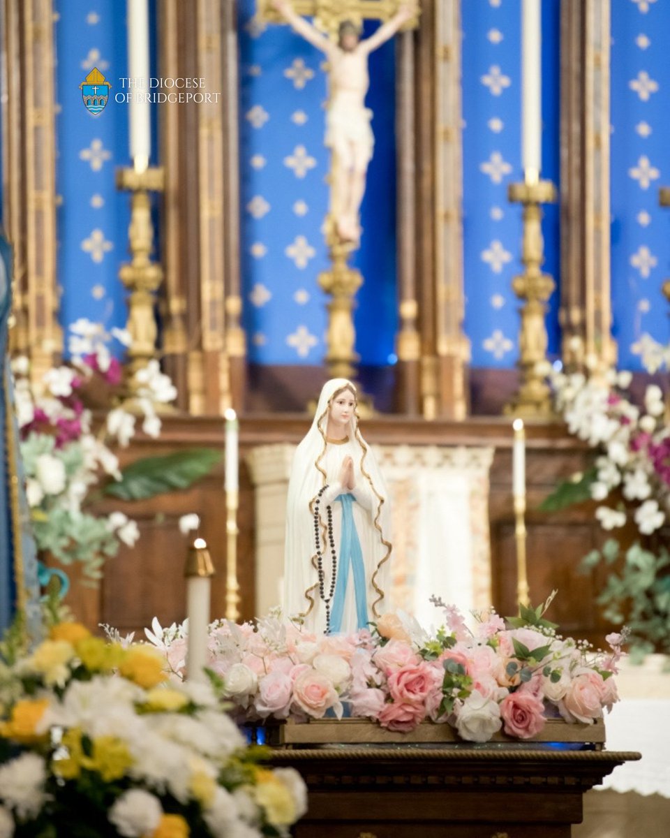 Diocese of Bridgeport tweet media