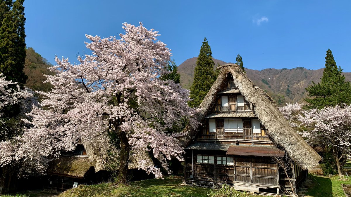 We are hiring: Agentic Engineers, Infra, Security, Ops

We will be renting mansions in the Japanese countryside and coding under cherry blossom trees for sakura season it will be the best job you will ever have.