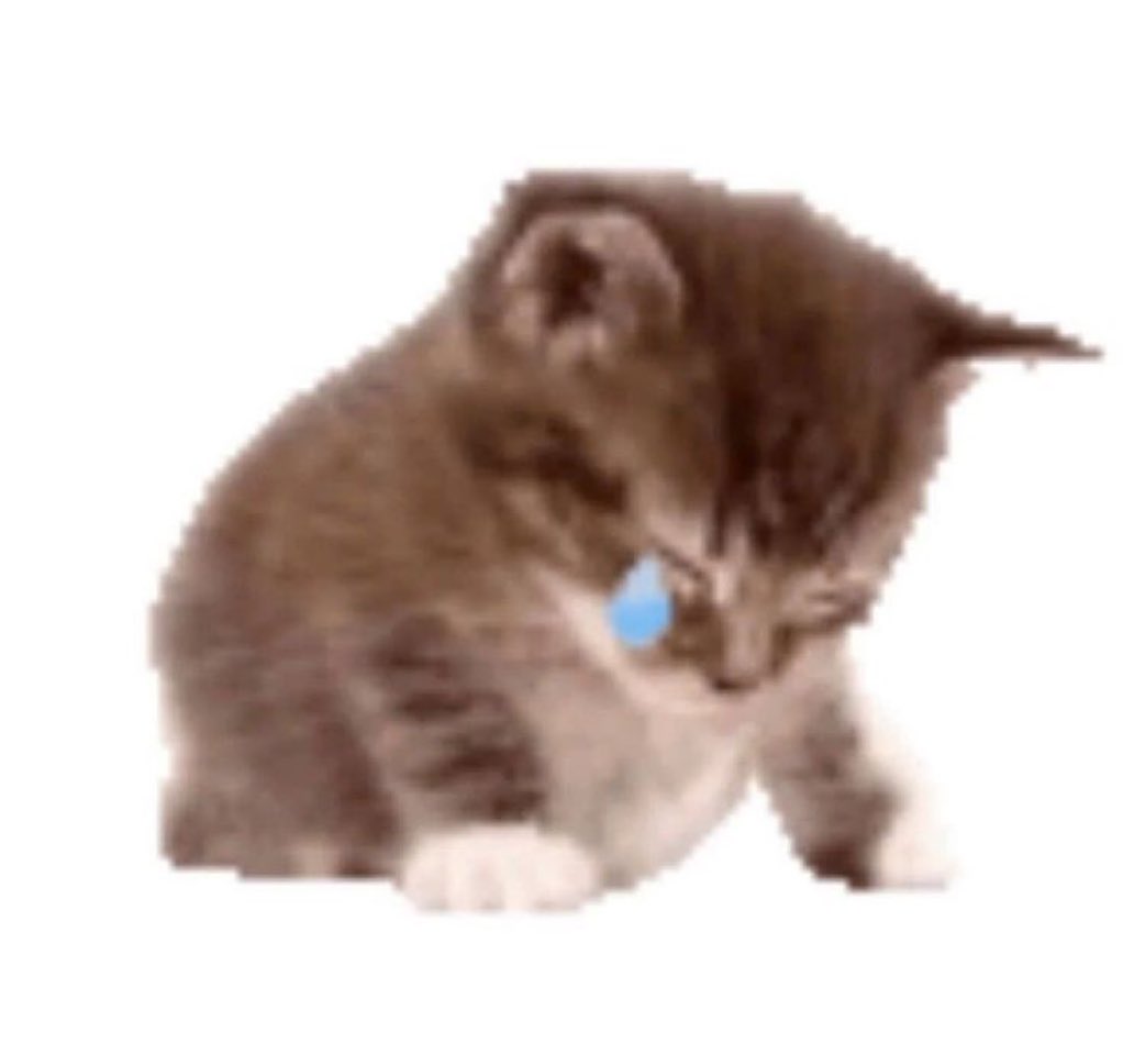 gatinarios's tweet image. ainda é terça-feira