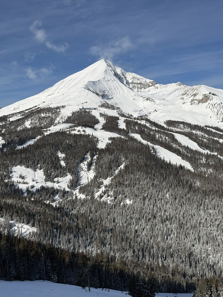 Abigail Otwell tweet media