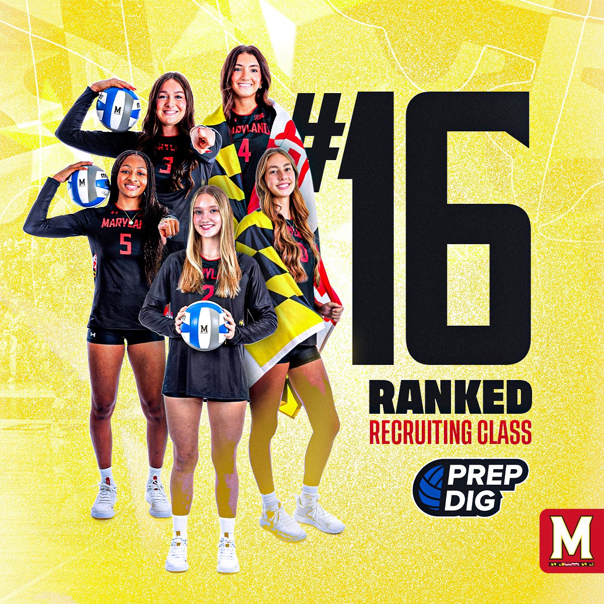 Maryland Volleyball tweet media