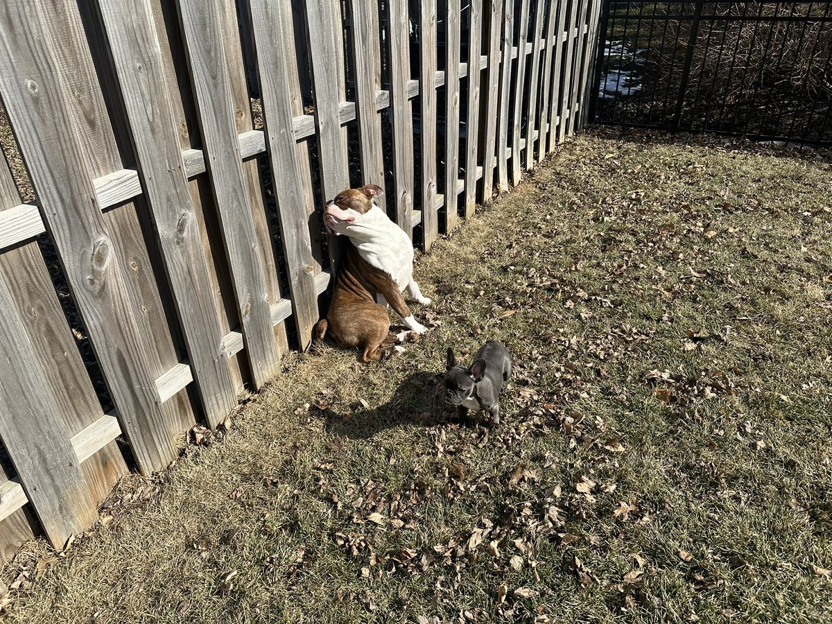 Harry Callahan tweet media