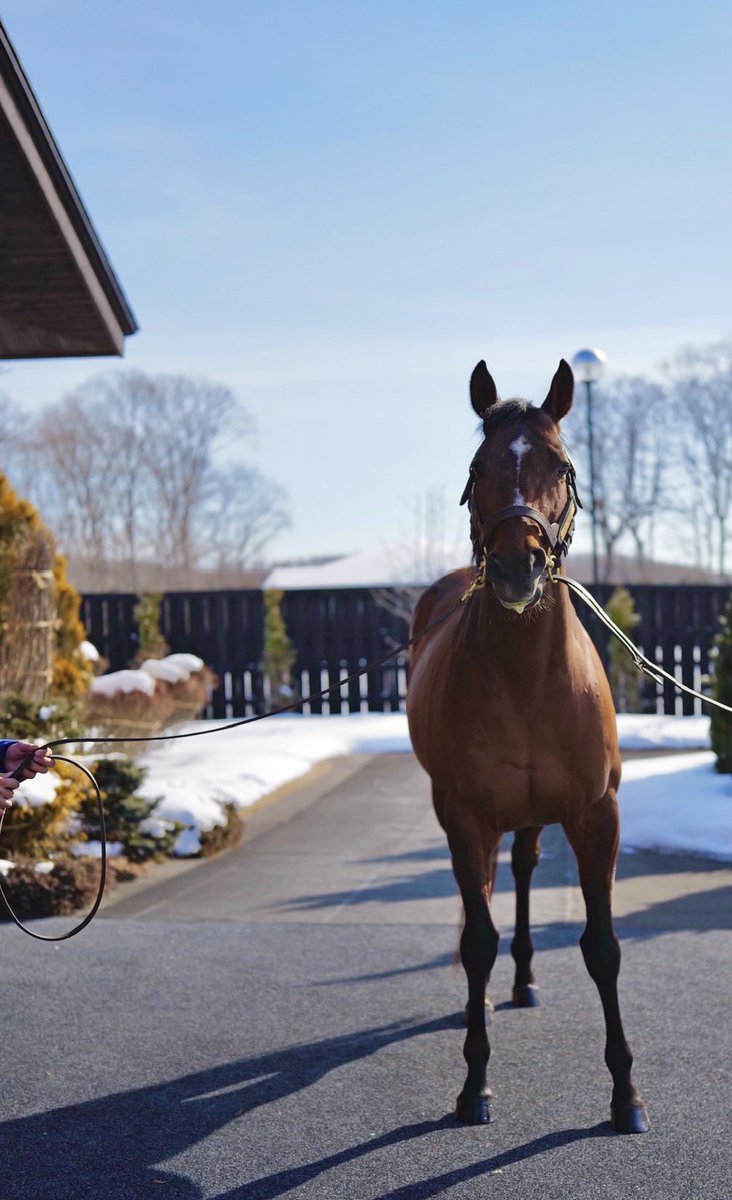 みかん (@DRYWH8) / Posts / X