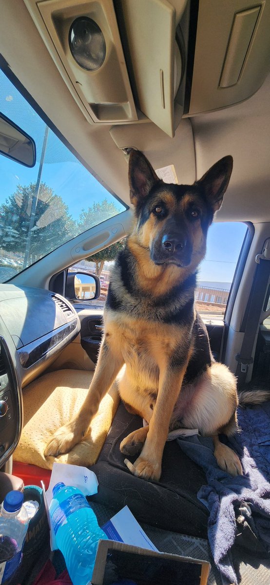 InkSwitch007's tweet image. 