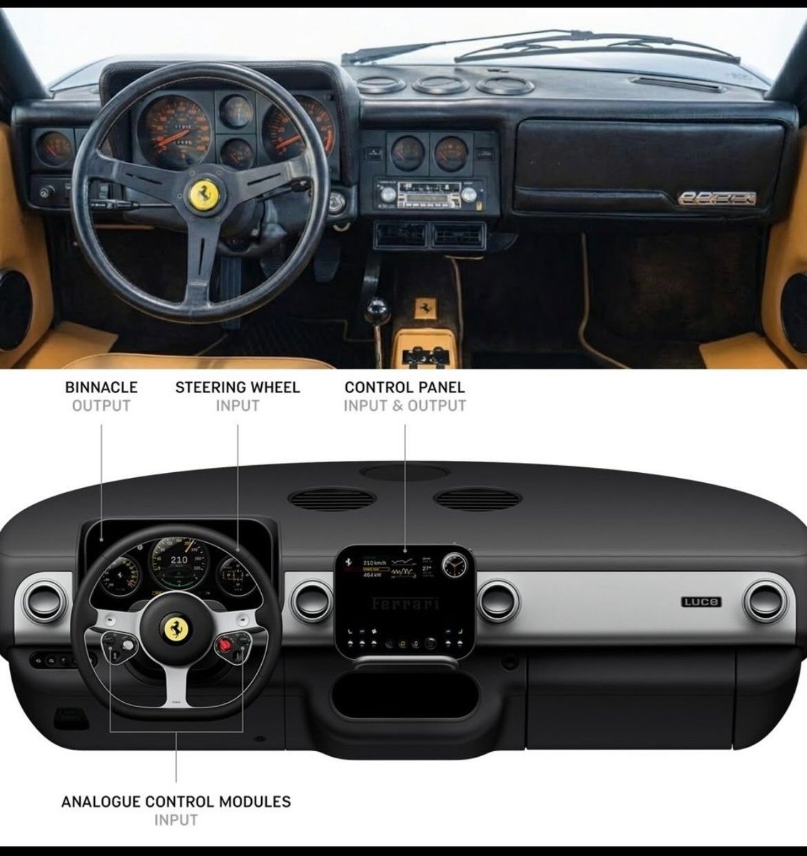 Ramin Nasibov tweet media