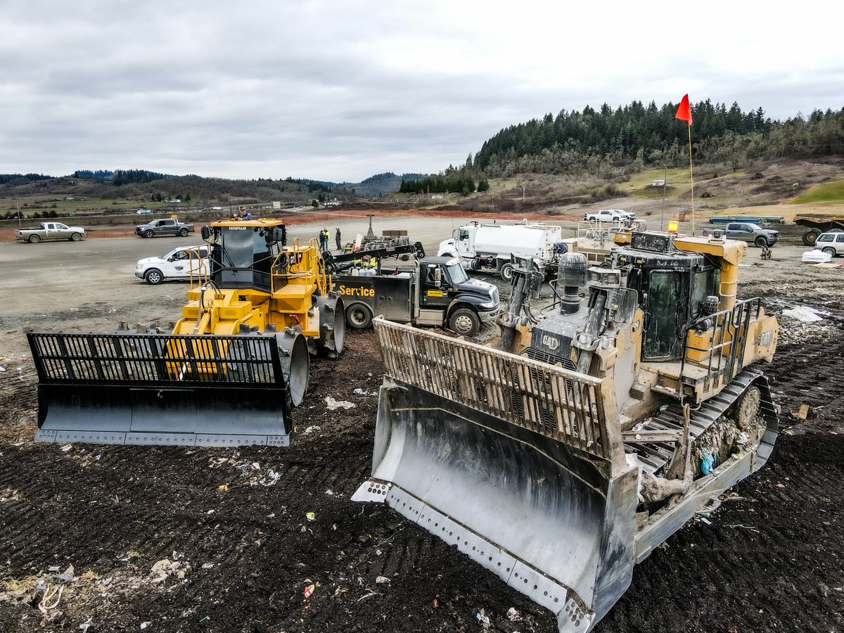 Peterson Cat tweet media