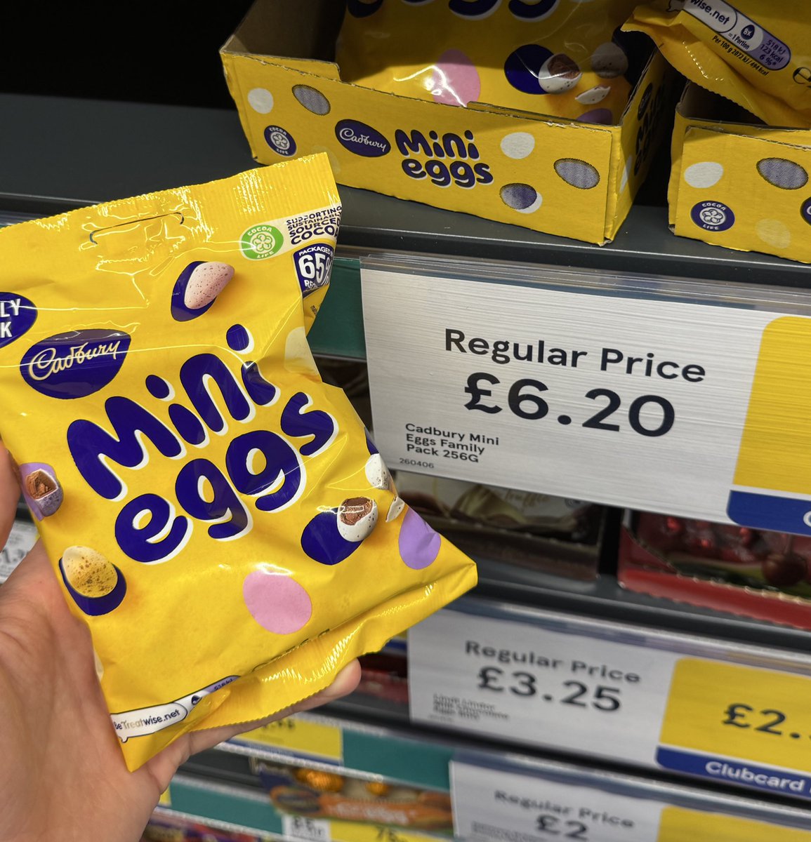 Dylan White tweet media