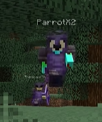noonn_roonii's tweet photo. // uu spoilers

Parrot in netherite you don't know how much of a relief this is to see in the entirety of season 2 😭 https://t.co/pjYMUUrUZw