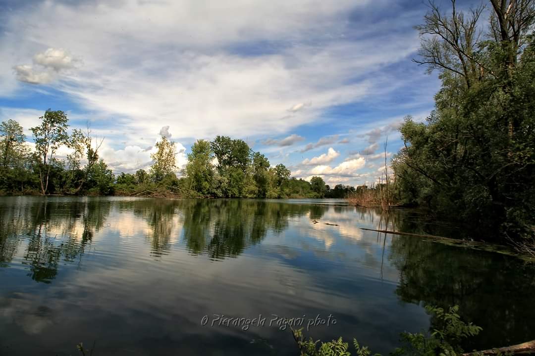 @ferrarisergio4 tweet media