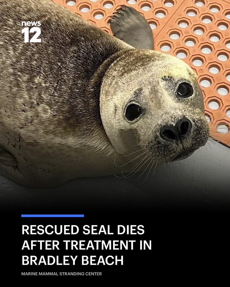 News12NJ tweet media