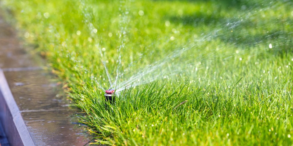 Carolina Turf Lawn and Landscape tweet media