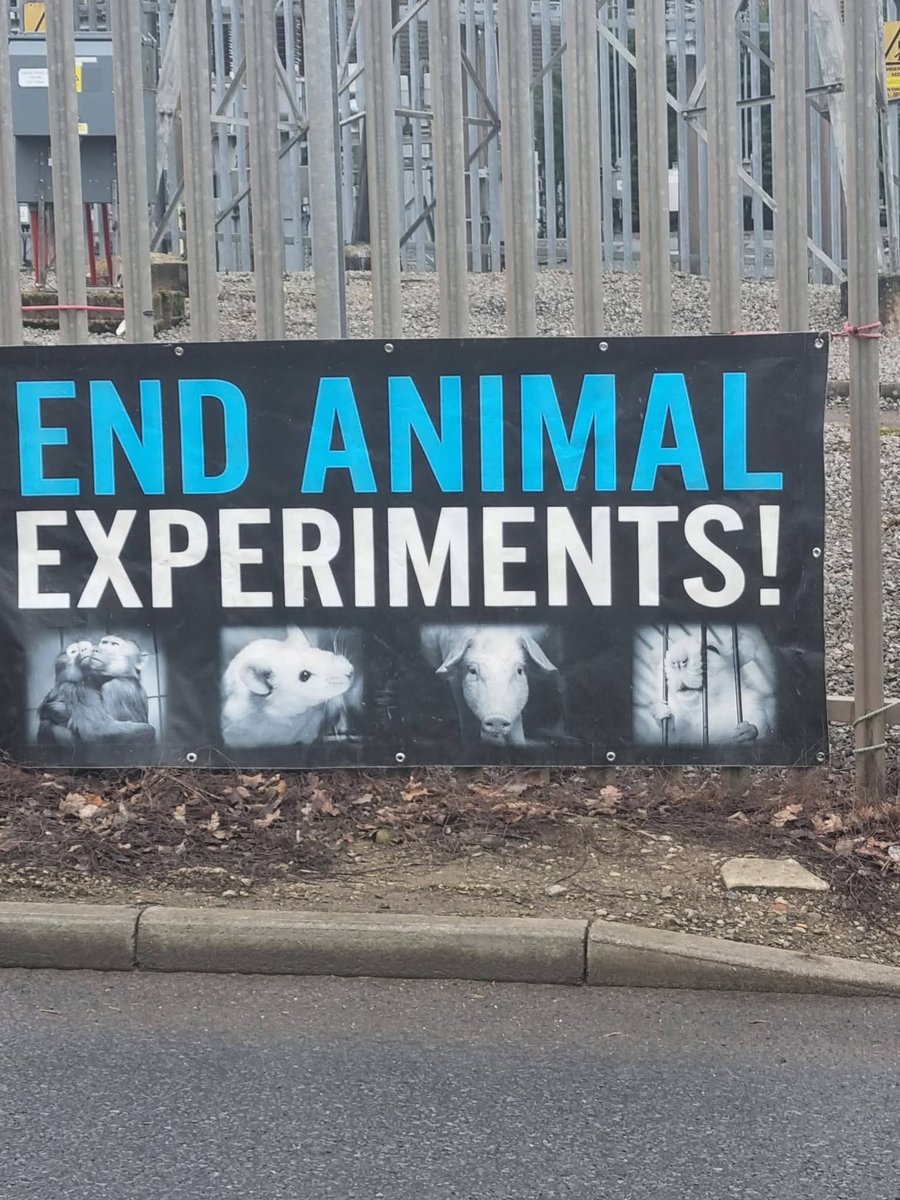SJRX1971's tweet image. #Endanimaltesting #Thisisnotscience #Animalrights #Voicefortheunheard #Thehomeoffice Sign the petition on "The Camp Beagle" to end animal testing 🙏