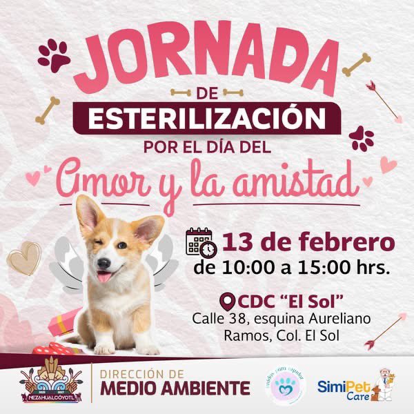 GobNeza's tweet photo. Estos días el #amorestaenelaire, ❤️ por ello te invitamos a demostrar tu cariño por tu #SerSintiente 🐶🐱en esta #jornadadeesterilización, 💉 por el #DíaDelAmorYLaAmistad.
#tutorresponsable 🙋♀️🙋♂️ https://t.co/qc58scfbo6