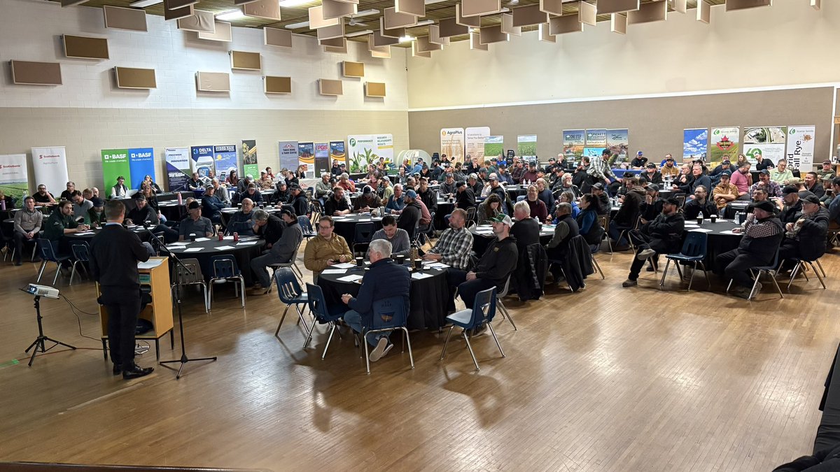 Dorothee van Dijk tweet media