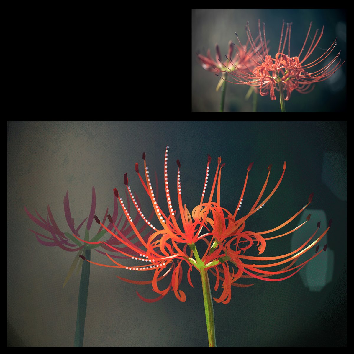 黒茶 -Noir Tea-🧋 tweet media