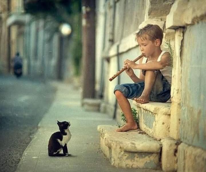 ❤️❤️ من نیّم ❤️ ❤️ tweet media