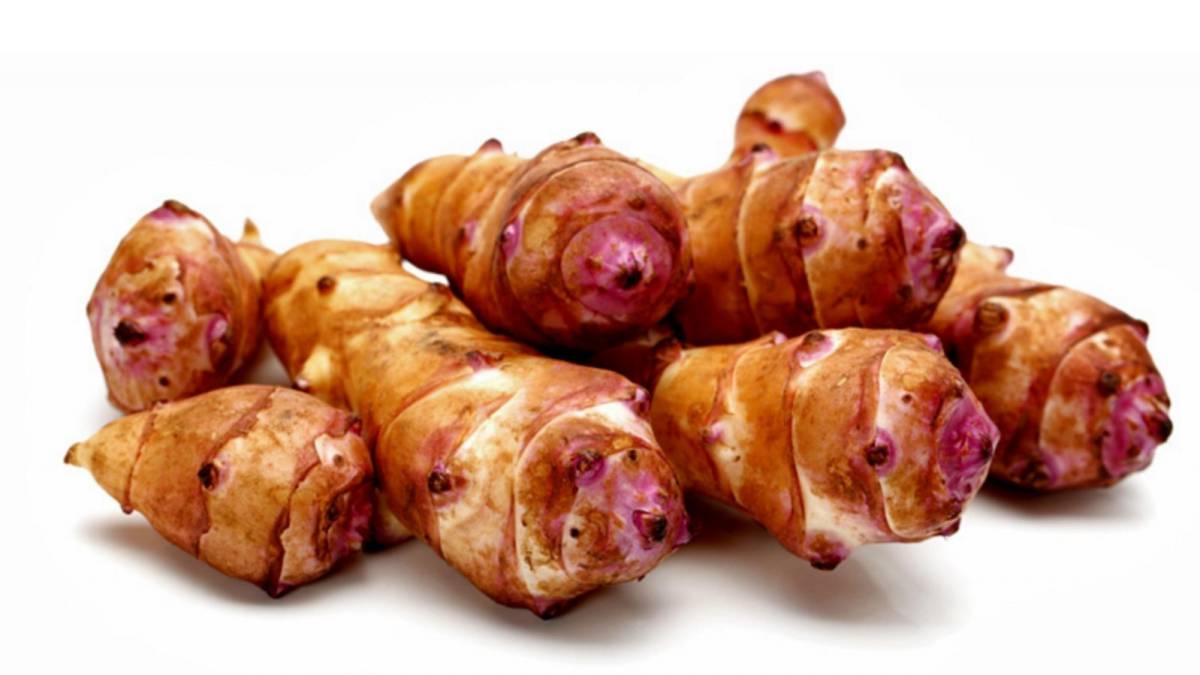MariscalvsBulos's tweet photo. El #tupinambo es una de las especies invasoras más peligrosas. Puede acabar con la vegetación autóctona. Bien prohibido está, aunque no les guste a los restaurantes peruanos de Barcelona, que han buscado un muy mal aliado.

#SaludsinBulos #Pámies #StopPseudociencias https://t.co/hrzXRczAXP