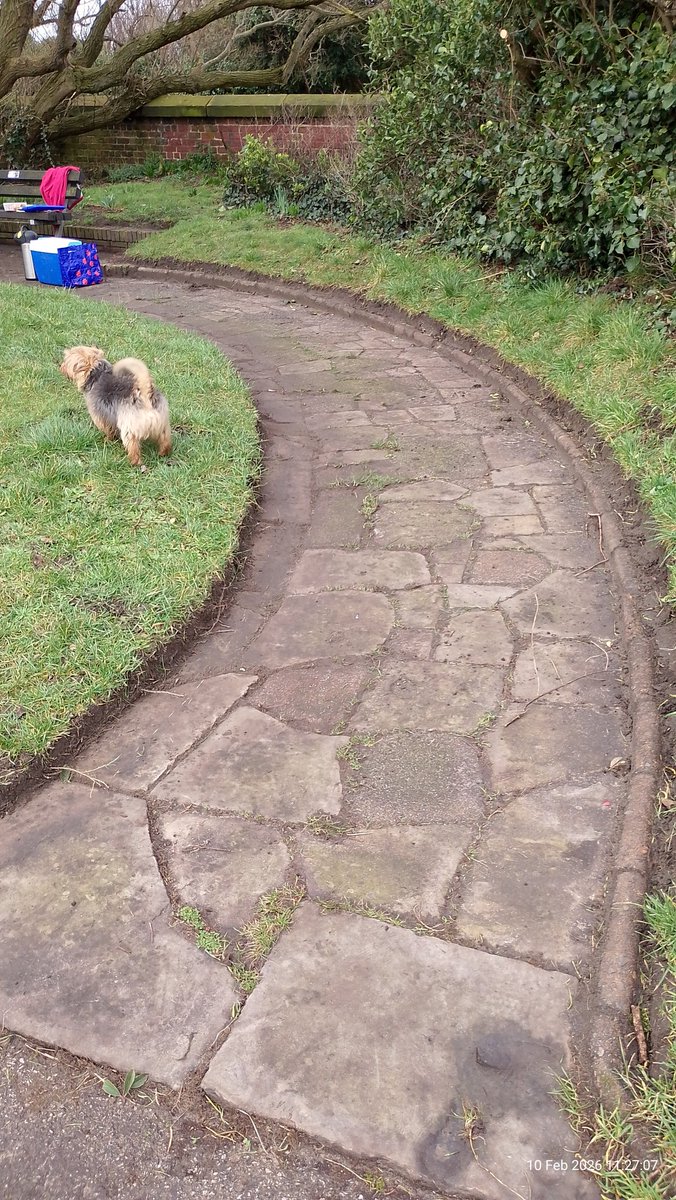 L22 Seafront Gardens tweet media