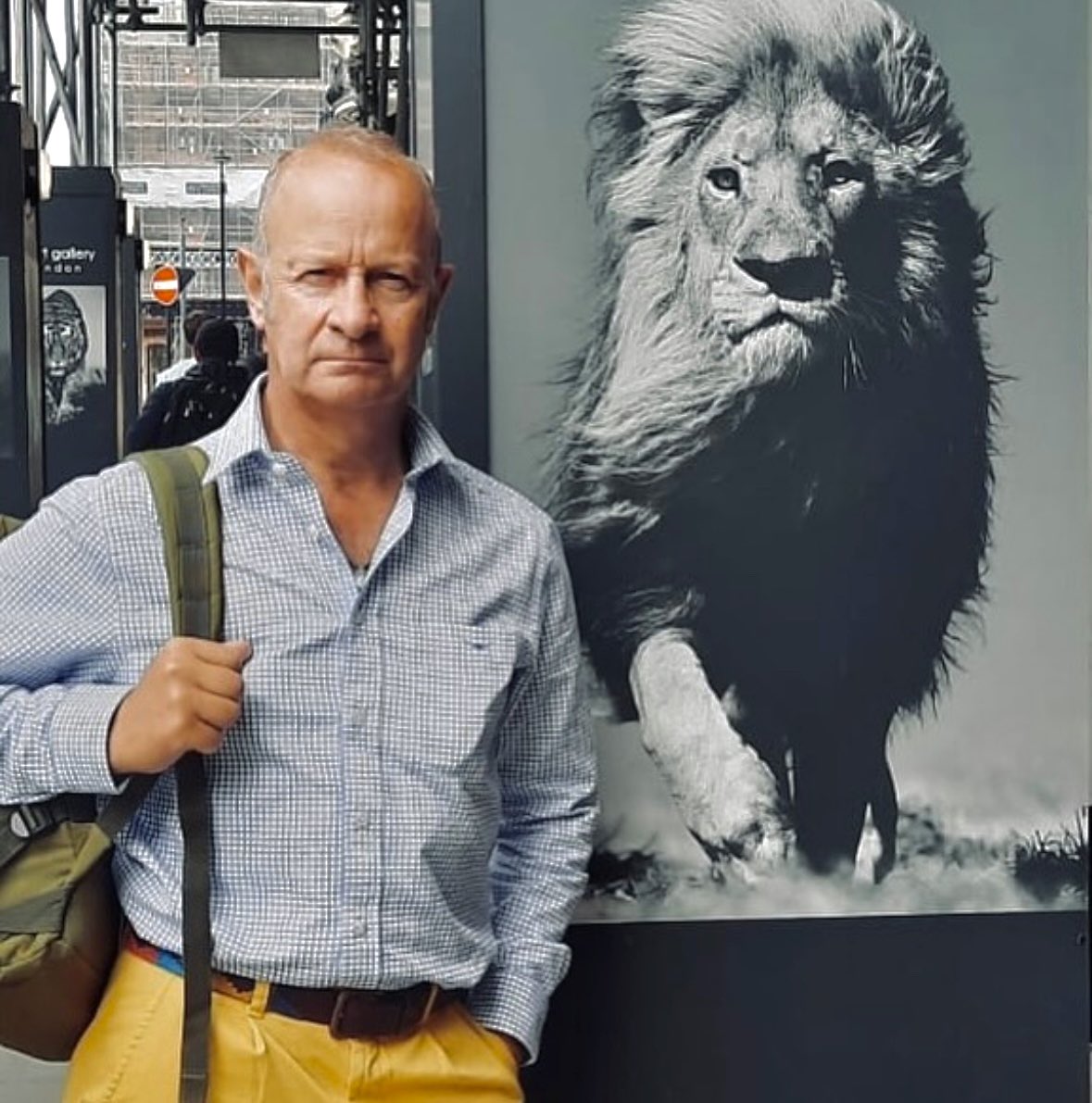 Henry Bolton OBE 🇬🇧 tweet media