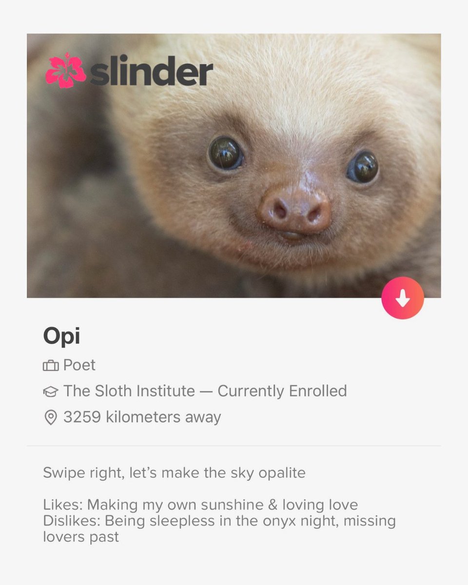 The Sloth Institute tweet media
