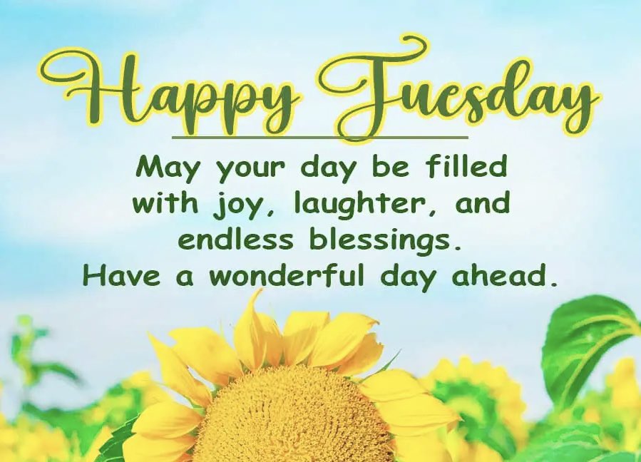 IsntDaveOne's tweet image. 🌻 😊 ☀️ 💛 Wishing everyone in the world a magnificent Tuesday! #TGIT