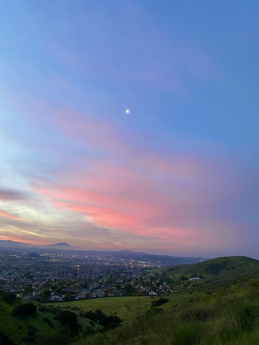 Roman of the Empire tweet media