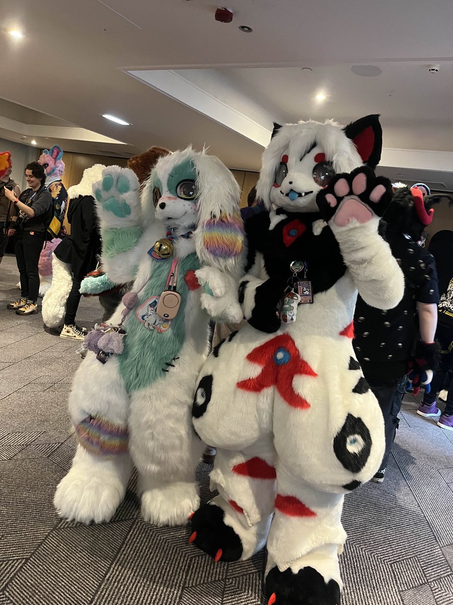 Kiri Kira 🦊 (@KiriKiraKitsune) / Posts / X