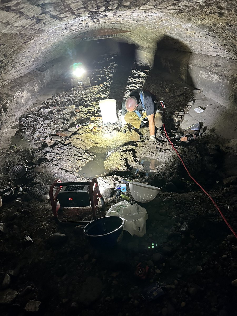 Marella Porter tweet media