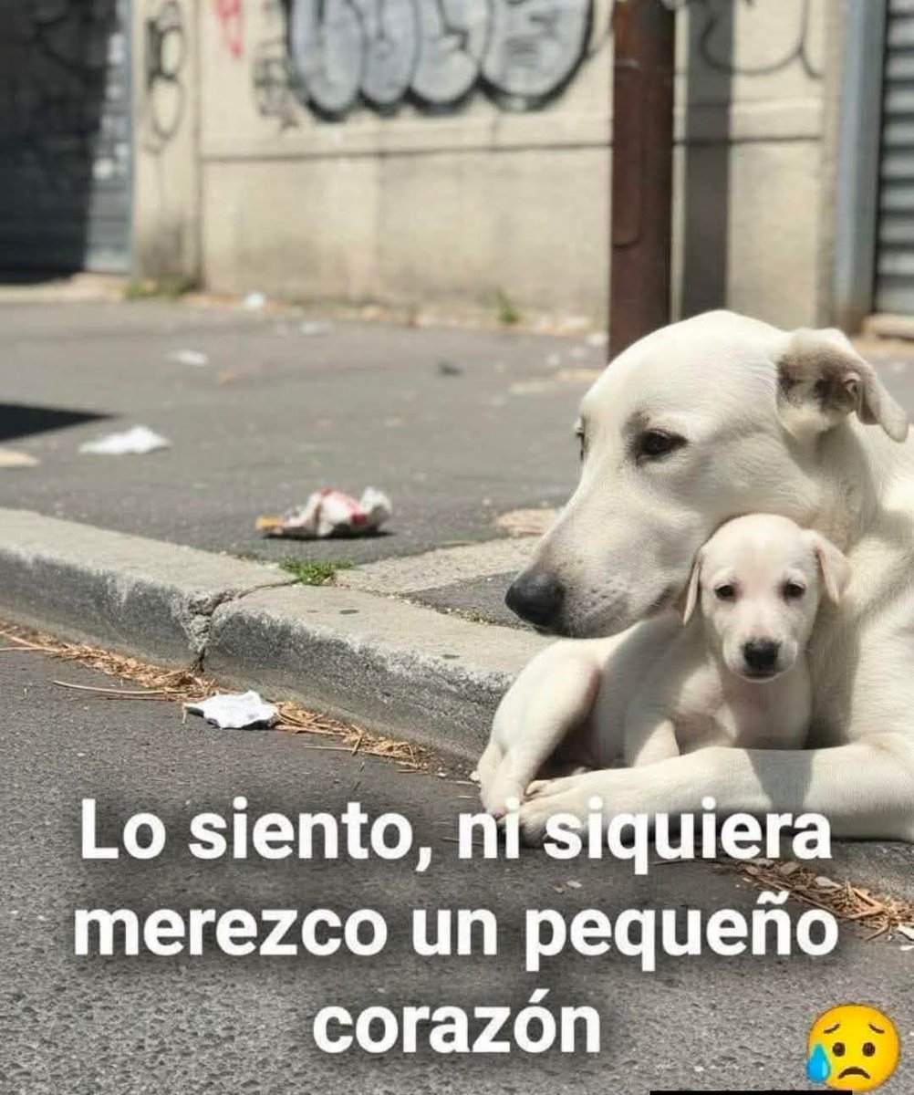 pablocasx1's tweet photo. Deja tu Me gusta y un comentario si estas activo en x .... https://t.co/Q72IVOUlHW