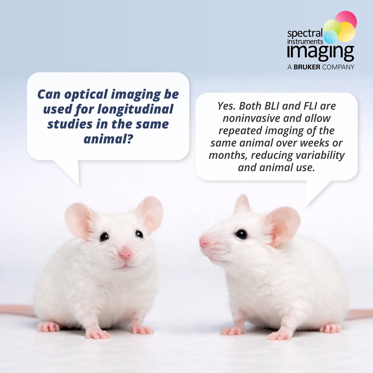 Spectral Instruments Imaging tweet media