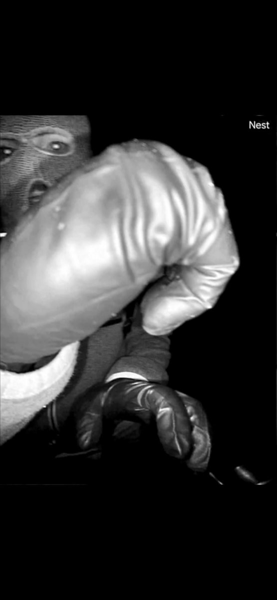 Rob Scott tweet media