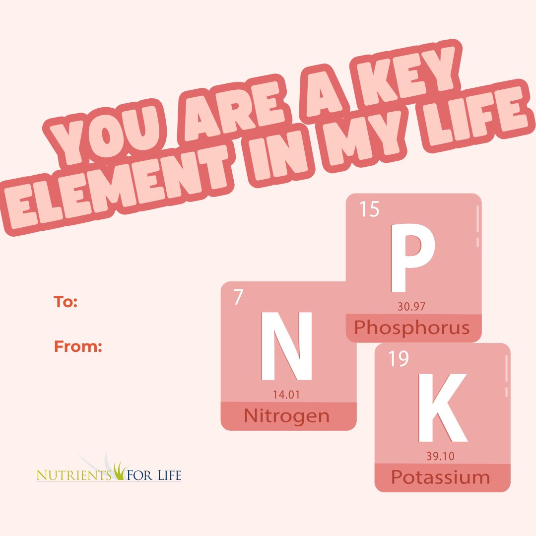 Nutrients for Life tweet media