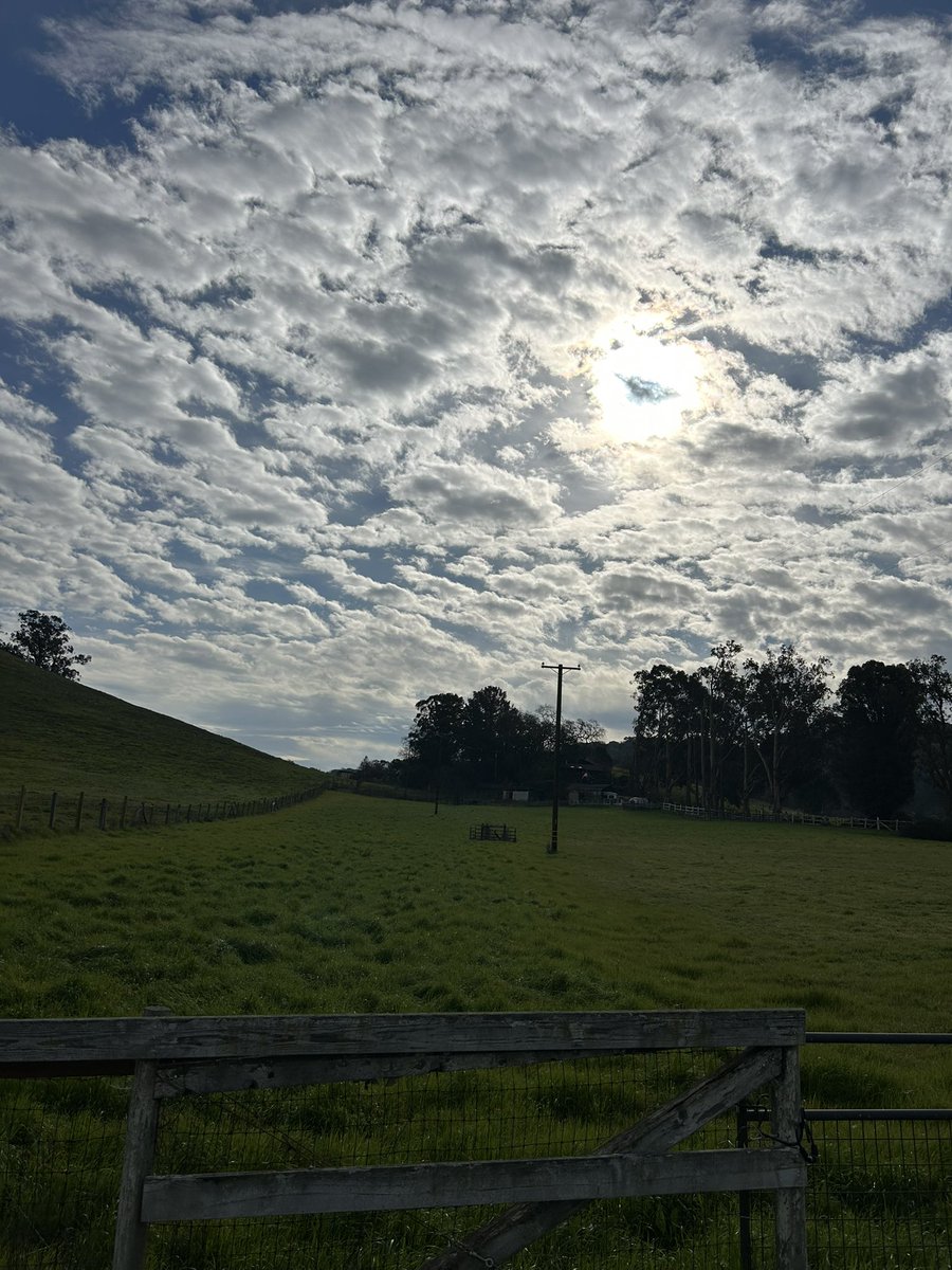 Beautiful day.