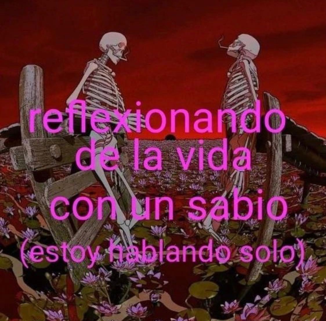 chincheto pirata somali (@wikipistacho) on Twitter photo 