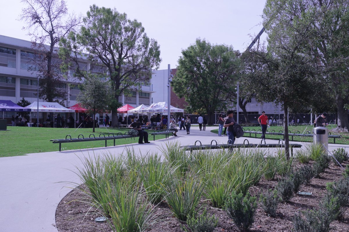 LA City College tweet media