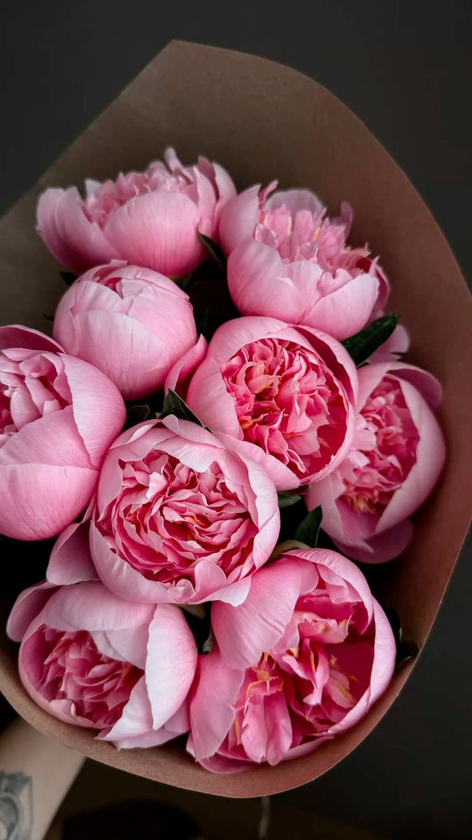 imarthadavid31's tweet photo. Do you guys love Rose or Peony more?

#DareYouToDeathEP8 https://t.co/M58fpaORUK