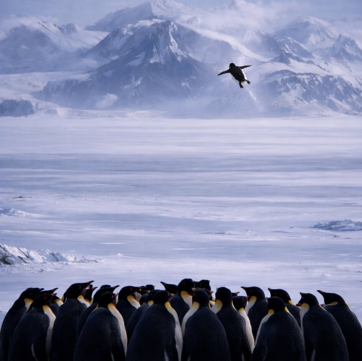 “The higher we soar the smaller we appear to those who cannot fly.”

― Friedrich Nietzsche