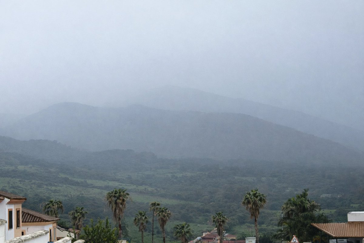 Jose Rambaud tweet media