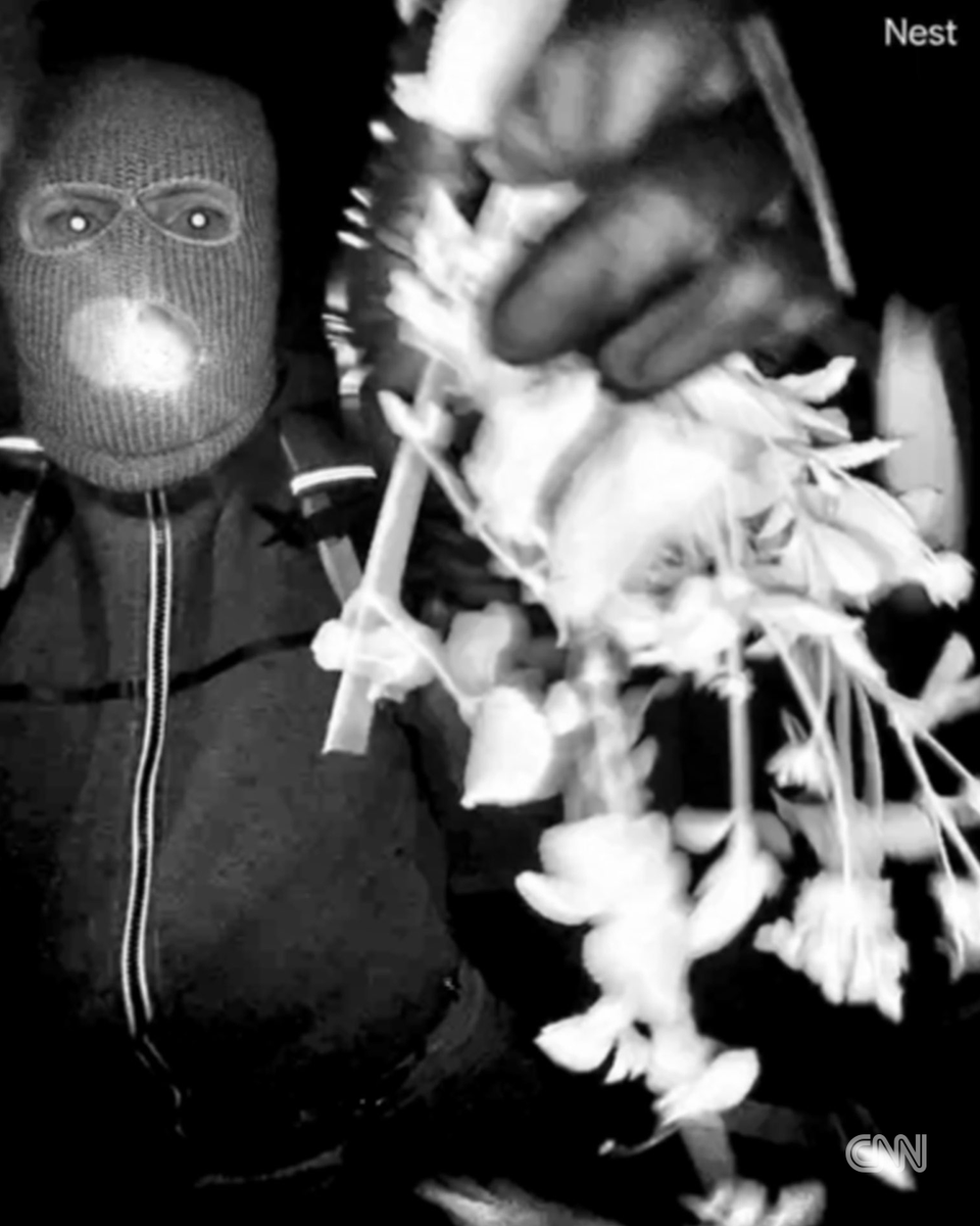 CNN Breaking News tweet media