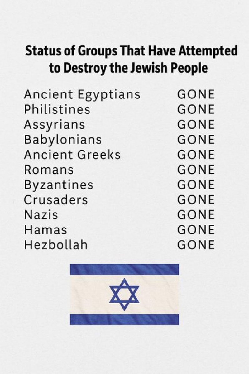 Vivid.🇮🇱 tweet media