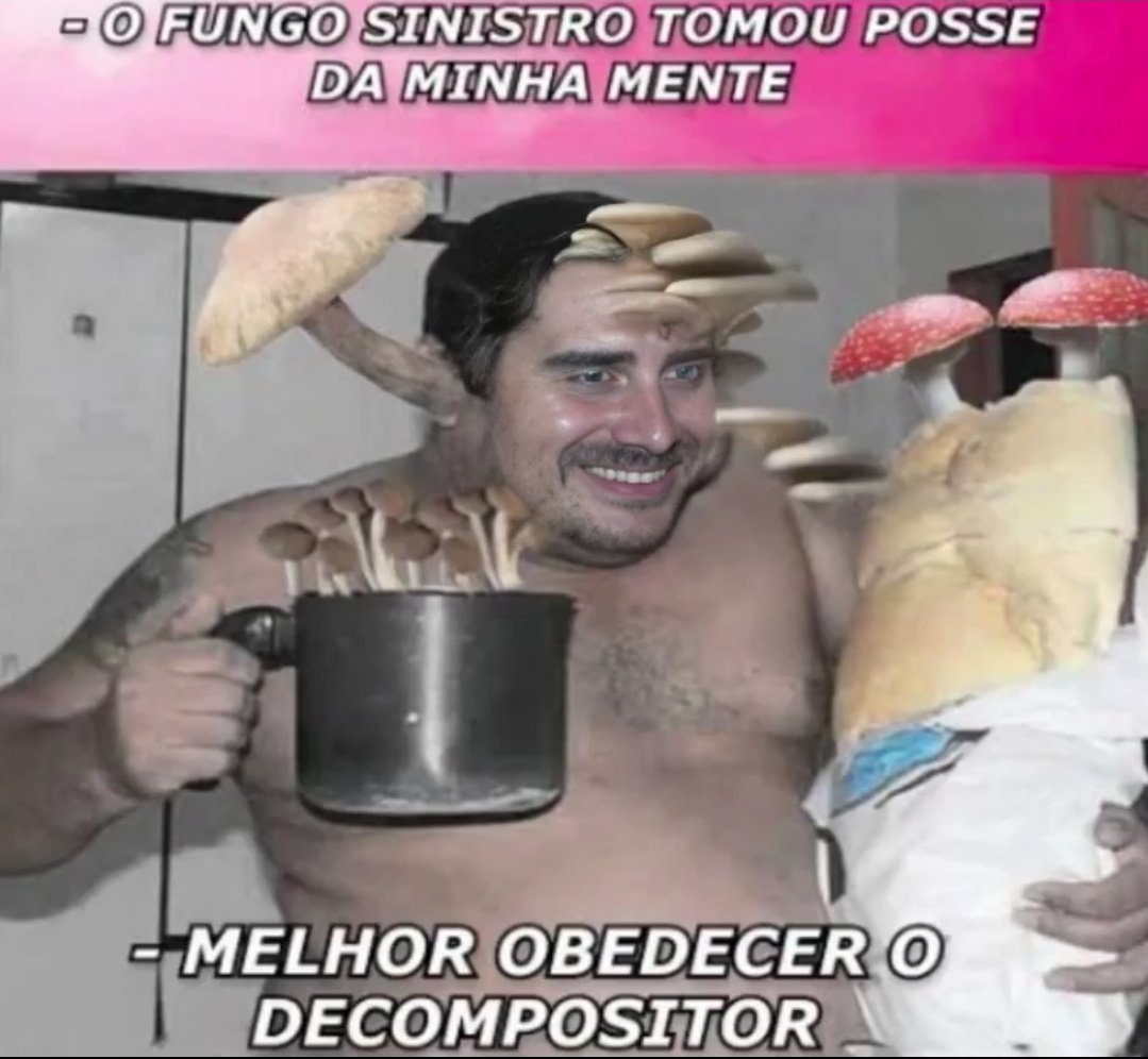 Pérolas do Broxada Sinistra tweet media