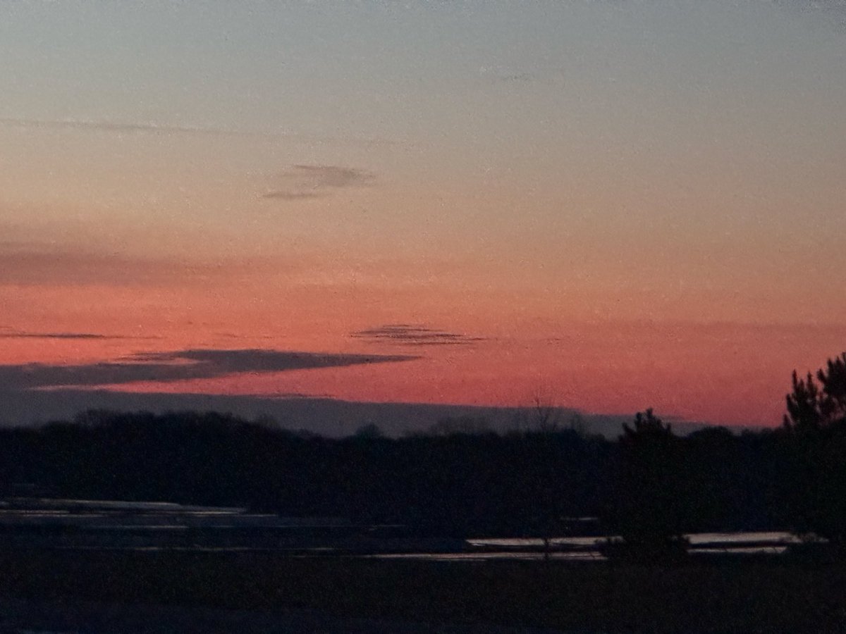 TheOtherLori's tweet image. 5.6 miles for another trip around the sun. Still a lot of ice out &amp;amp; had to jump into a snow covered ditch to get out of the way of a car. @noxgear  lighting up the snow. #runchat #chasingthesun #lightmeup