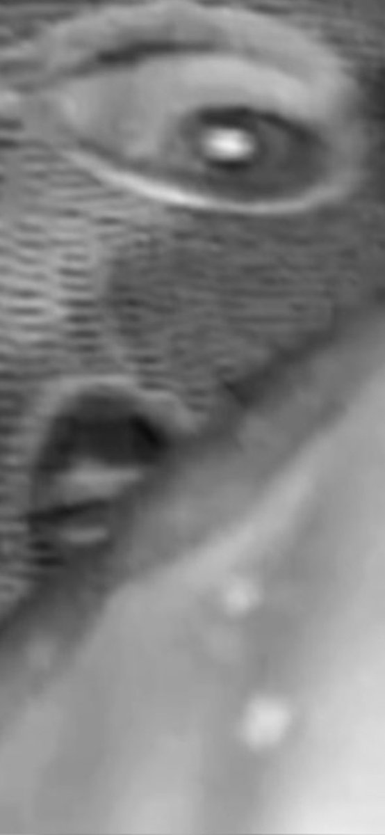 zeroheirs's tweet photo. @FBIDirectorKash Someone knows this subtle detail!!!!  Market this detail. https://t.co/62bygkssUE