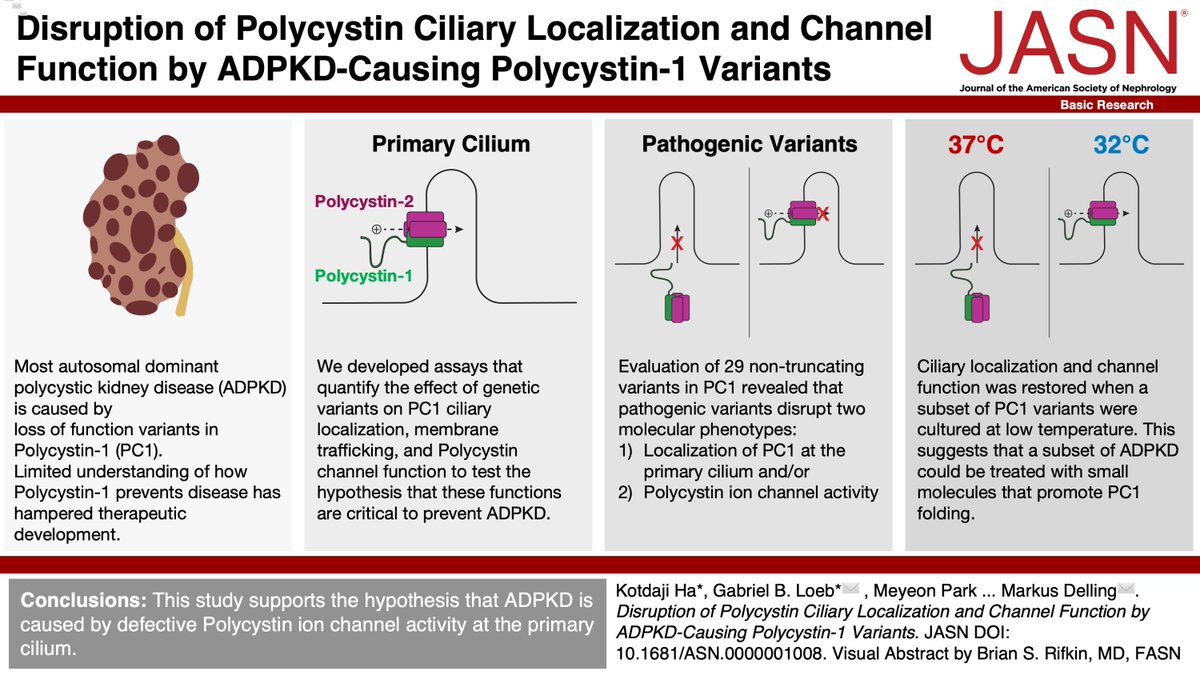 Gabriel Loeb tweet media
