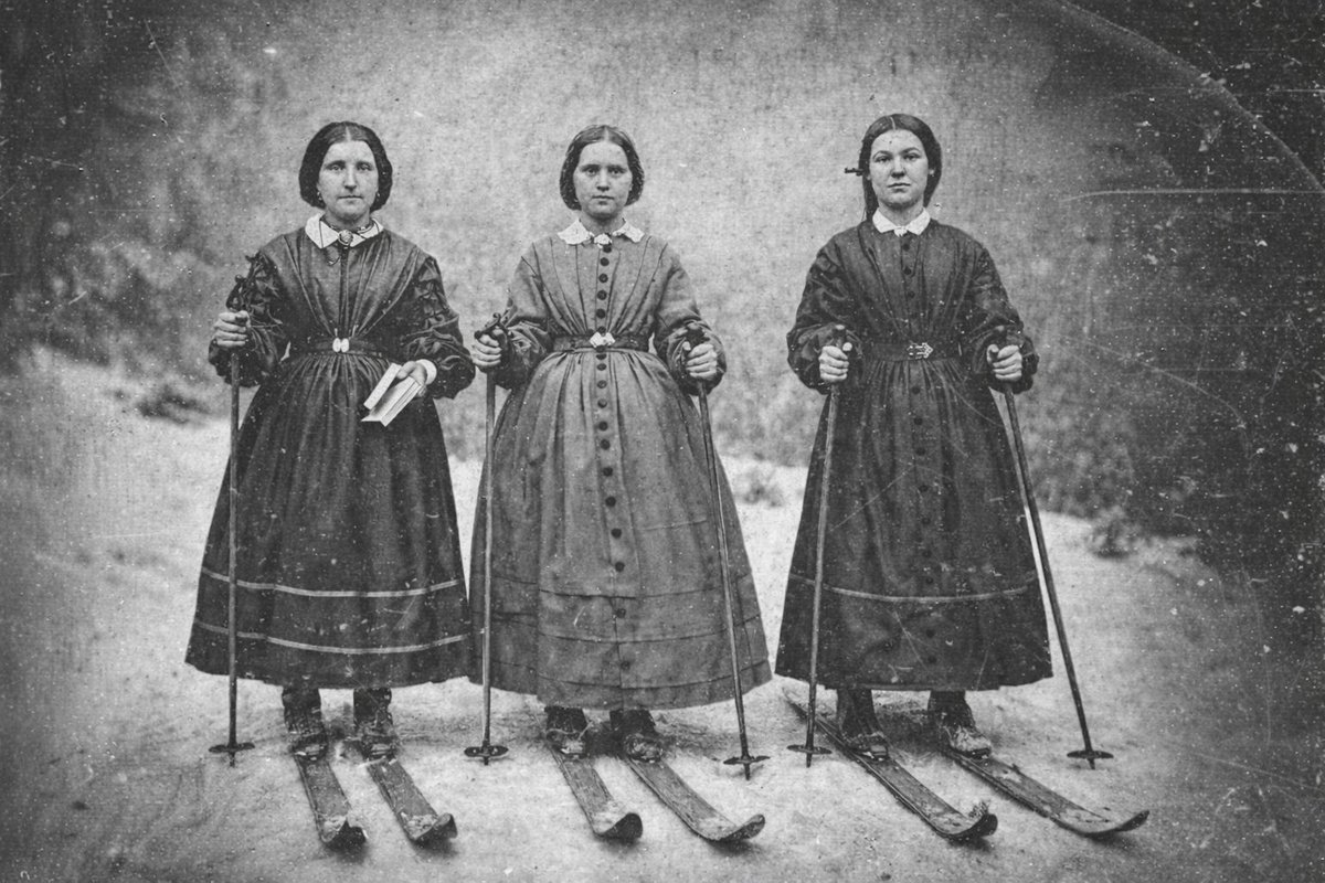 cheshire cat tweet media