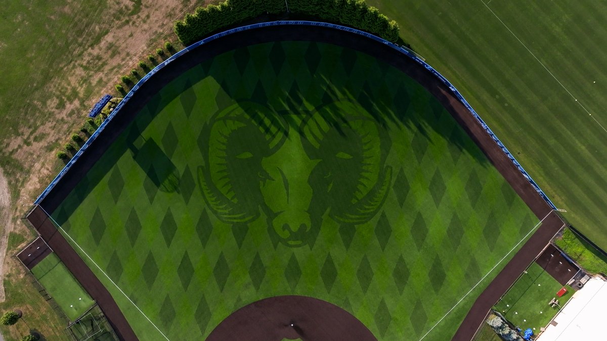 Shaw Sports Turf tweet media