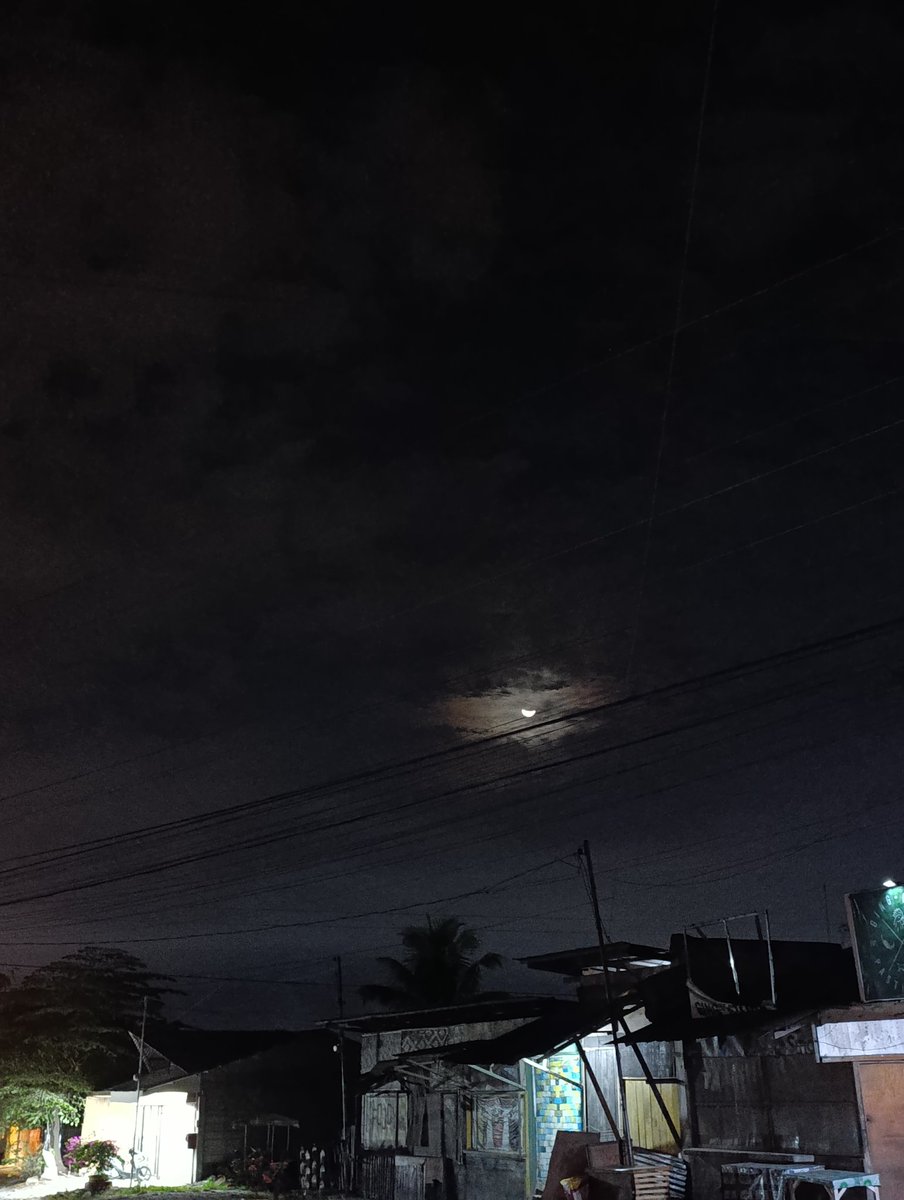 A much needed night walk