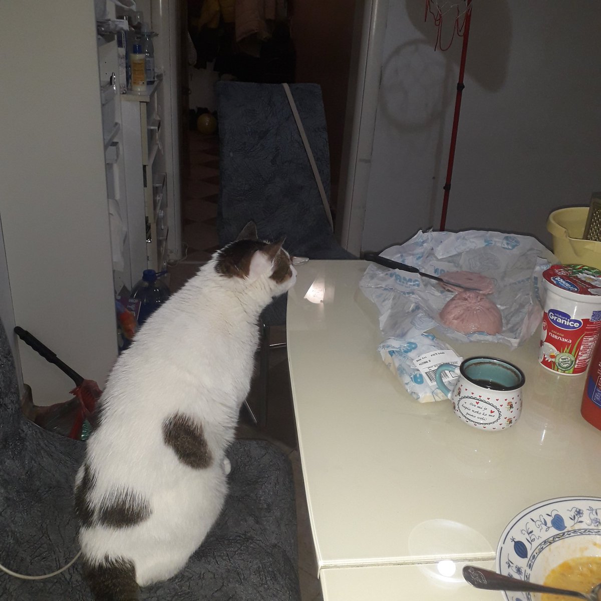 Ћаци мачор, зинуло му дупе на паризер.