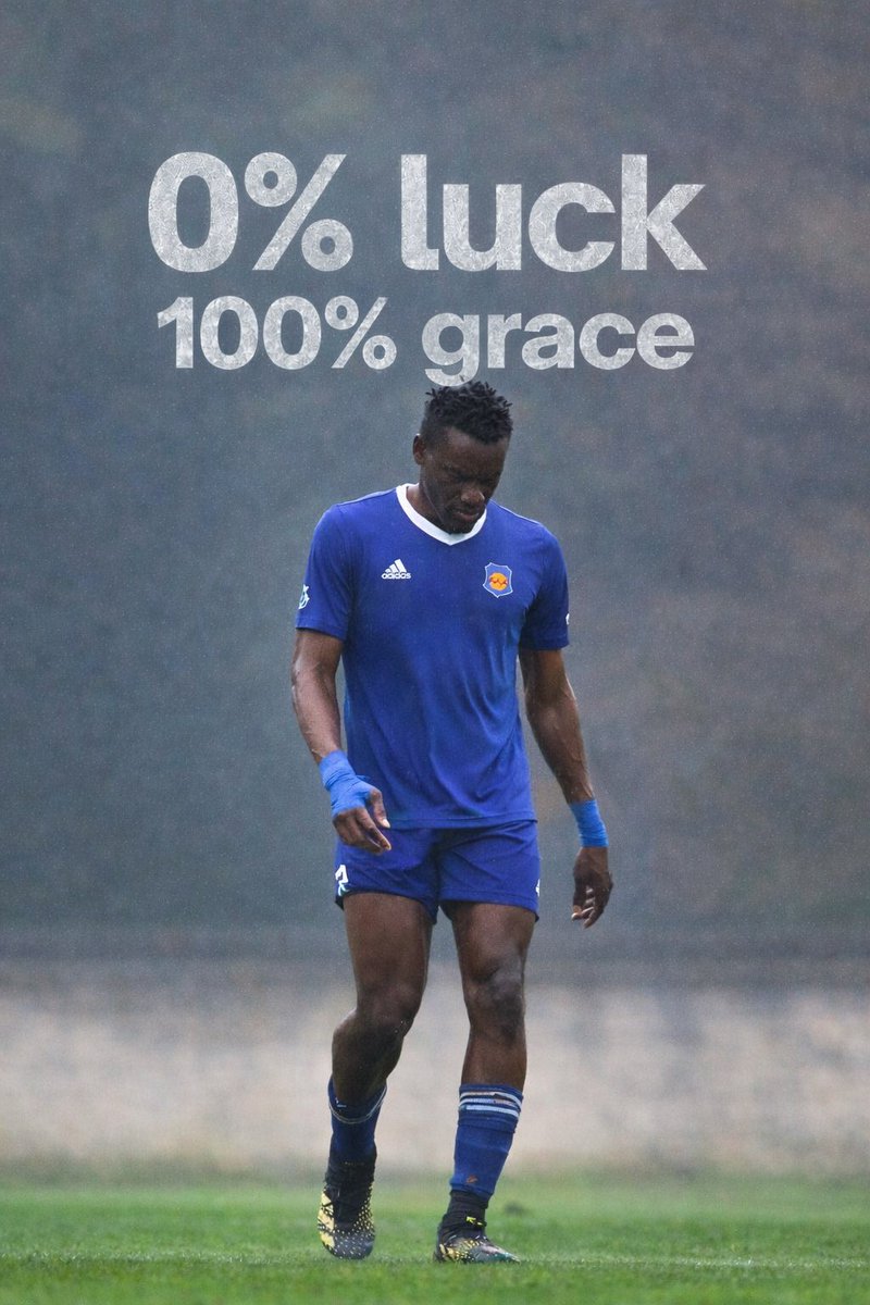 The9thmare🦁 tweet media