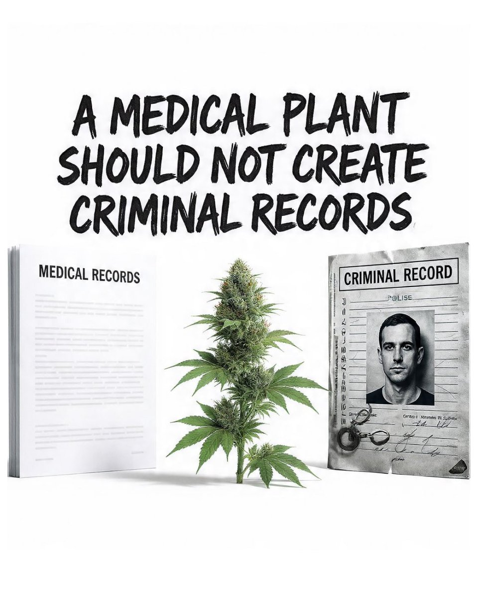 Think about it. We're letting a simple plant lead to criminal records that shut people out of good jobs and stable homes. That's just not how things should work. This isn't about some grand idea, it's about fairness and making sure folks have a real shot at life. Let's grow